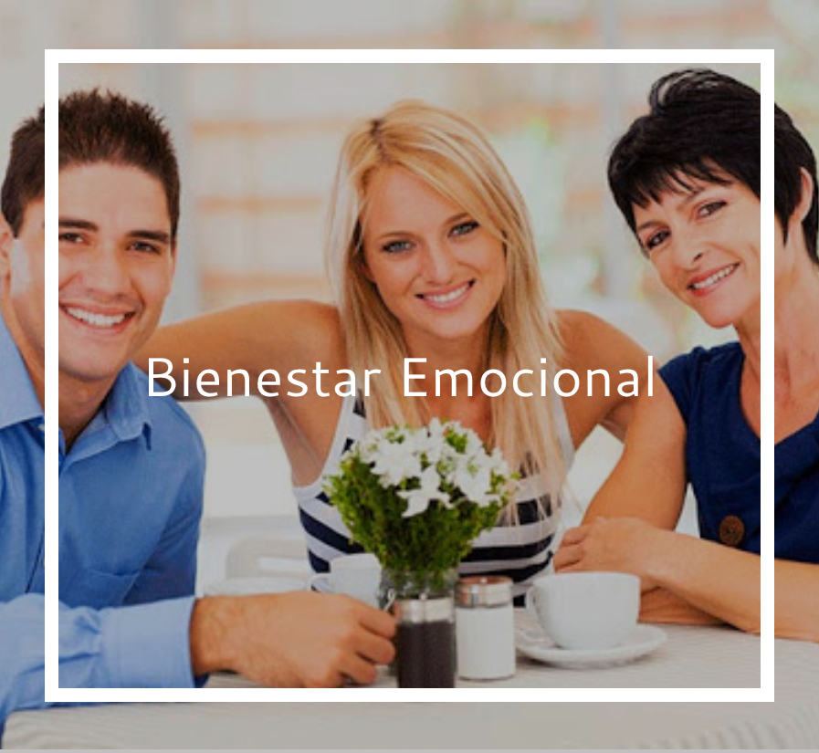 Brand Consulting
